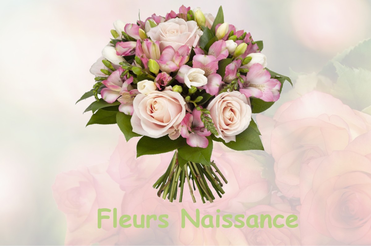 fleurs naissance LA-ROCHE-CHALAIS